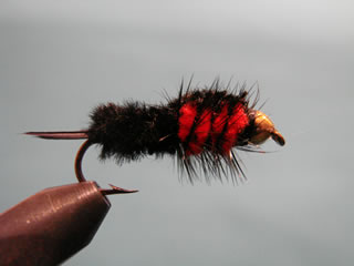 Red Bead Head Montana (8-10)